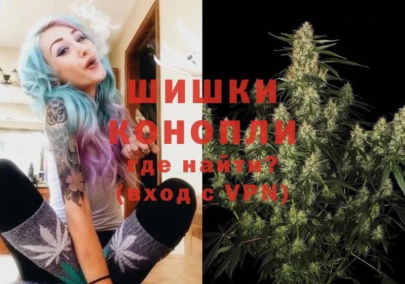 как найти наркотики  Семилуки  Каннабис Ganja 